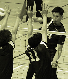 ���o��PHOTO