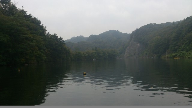 32cm