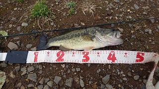 34cm