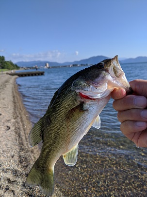 25cm߉e