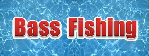 bassTOP