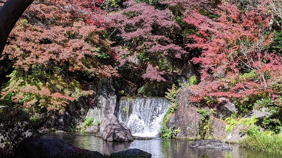 庭園