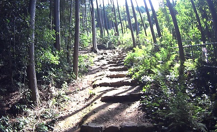 山道
