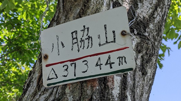 W\