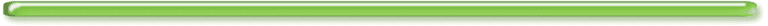 BACK TO THE HOMEPAGE